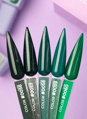 DNKa COLOR GEL POLISH, 12 ml #0060 2