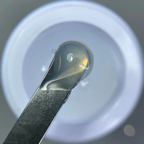 DIVNA 3D Gum Gel Clear 5 g  2