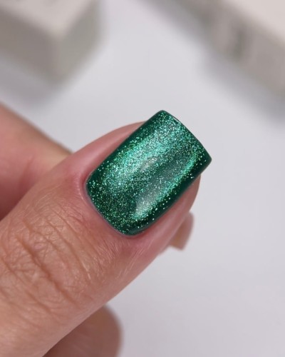 NAILSOFTHEDAY Cat Eye Gel Polish 07, 6 ml