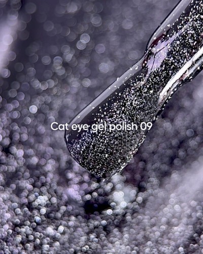 NAILSOFTHEDAY Cat Eye Gel Polish 09, 6 ml