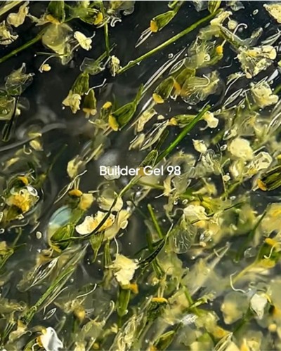 NAILSOFTHEDAY Builder gel 98 flower gel, 15 ml
