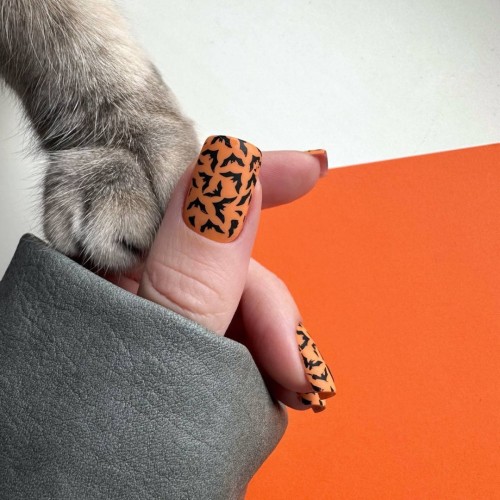 NAILSOFTHEDAY gel polish Pumpkin-097, 10 ml