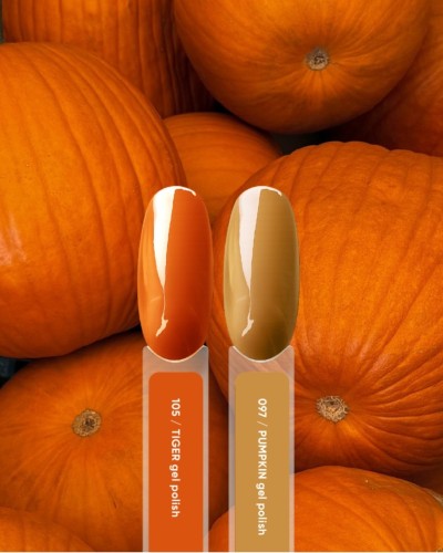 NAILSOFTHEDAY gel polish Pumpkin-097, 10 ml