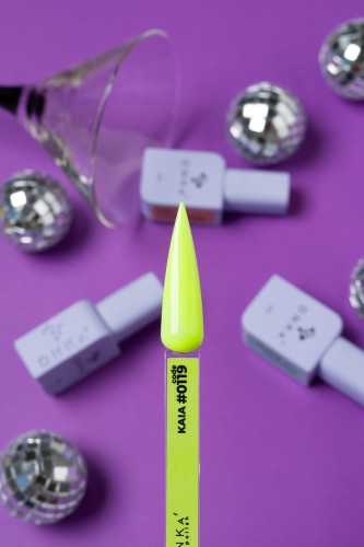 DNKa COLOR GEL POLISH NEW FORMULA, 7 ml #0119