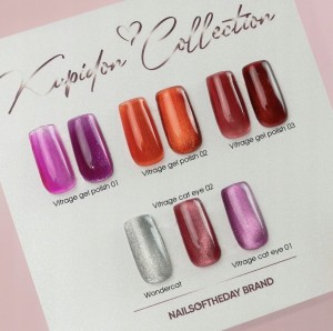 NAILSOFTHEDAY gel polish Vitrage Cat eye 01, 10 ml