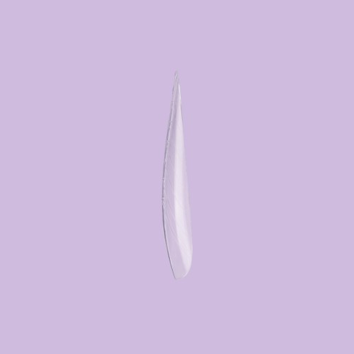 DNKa PROFESSIONAL TOP NAIL FORMS, ALMOND NEW 150 PCS
