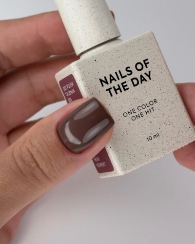 NAILSOFTHEDAY gel polish Talisman-056, 10 ml