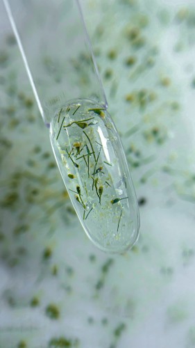 NAILSOFTHEDAY Build gel Flower 01 - przezroczysty żel budujący z kwiatami, 15 ml 3