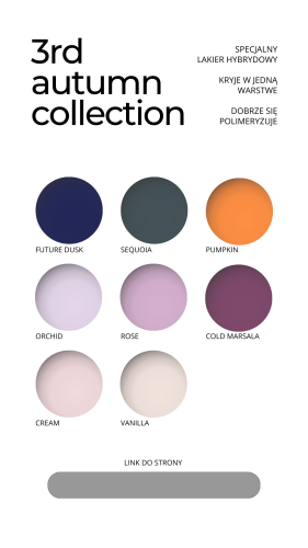 NAILSOFTHEDAY Let's special Future Dusk - lakier hybrydowy, 10 ml 5